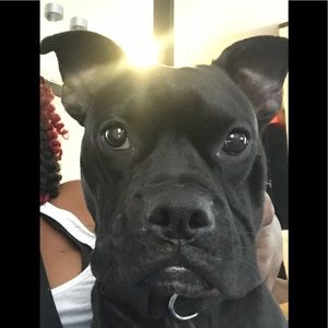 Meet your Posher, Samantha